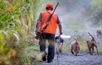 DATE DES BATTUES DE CHASSE 2023/2024