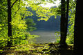 Etang à Manspach